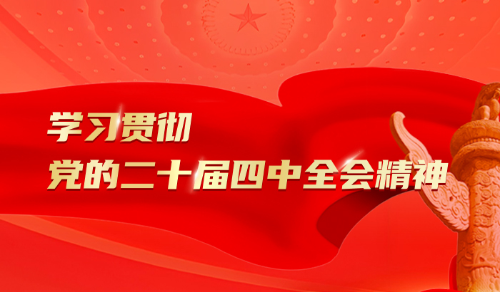 学习贯彻党的二十届四中全会精神